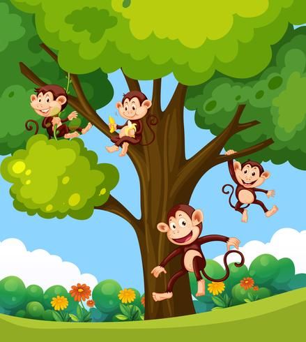 Monkeys Illustration, Sequencing Activities Kindergarten, Birthday Cake Clip Art, Monkey Playing, Tree Monkey, Forest Cartoon, Fabric Paint Shirt, Monkey Jump, Monkey Illustration