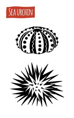 Sea Urchins Art, Nautical Stencils, Ocean Clipart, Ocean Drawing, Diy Projects For Bedroom, Sea Urchins, Mermaid Drawings, Sea Design, Textile Pattern Design