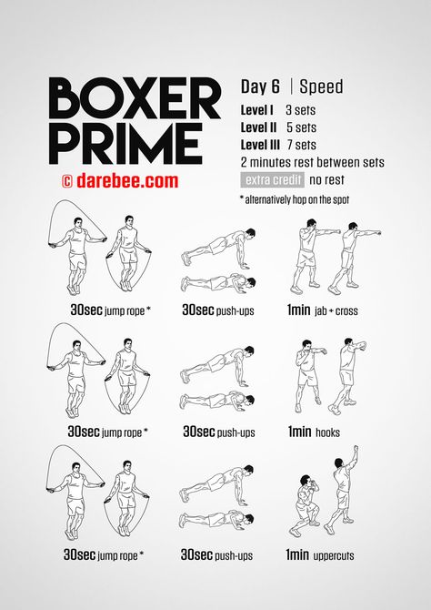 Boxer Prime: 30-Day Fitness Program Boxer Prime, Boxing Challenge, Box Workout, Punching Bag Workout, Best Abs Workout, Boxer Workout, Boxing Workout Routine, Boxing Workouts, Home Boxing Workout