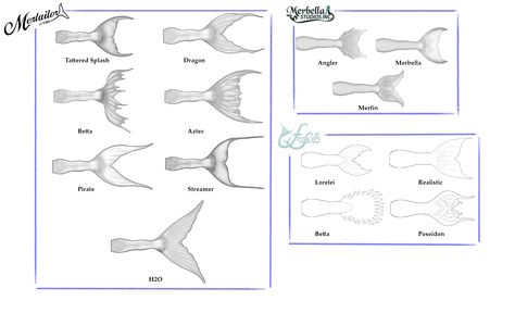 Fluke type chart for the major tailmaking companies. Types Of Mermaid Tails, Fish Person, Mermaid Tail Fin, Types Of Mermaids, Mermaid Fins, Type Chart, Mermaid Fin, Creatures Art, Mermaid Tails