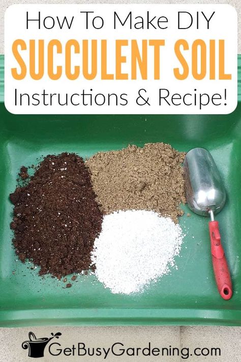 Soil For Succulents, Best Soil For Succulents, Soil Recipe, Kaktus Dan Sukulen, Succulent Potting Mix, Funny Vine, Succulent Garden Diy, Succulent Soil, Succulent Gardens