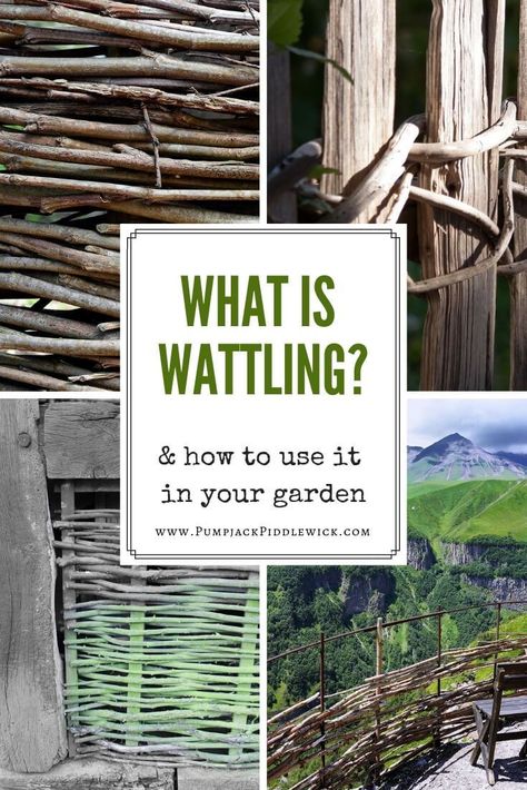 Wattling, my gardening friends, is an old fashioned way of making fencing out of branches. Not only does it look lovely but if your garden has trees, it will not require store bought fencing materials. In other words, it’s free. Learn more @PumpjackPiddlewick Cerca Natural, Wattle Fence, Willow Fence, Wattle And Daub, Small Farms, Natural Fence, Living Fence, Fencing Material, Garden Vines