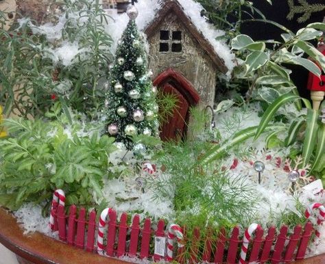 Fairies on Pinterest | Fairies Garden, Winter Fairy and Fairy Village Furniture Top View, Winter Fairy Garden, Christmas Fairy Garden, Fairy Garden Ideas, Fairy Folk, Fairy Christmas, Artificial Snow, Miniature Gardens, Faeries Gardens