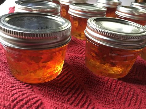 Serrano Pepper Jelly Recipe, Serrano Pepper Recipes, Habanero Recipes, Canning Peppers, Pepper Jelly Recipes, Pressure Canning Recipes, Pepper Salsa, Hot Pepper Jelly, Homemade Jelly