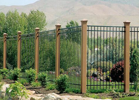 Rod Iron Fences, Wrought Iron Fence Panels, Fence Types, Iron Fence Panels, Garden Enclosure, Perimeter Fence, Fence Design Ideas, Pool Fences, Iron Fences