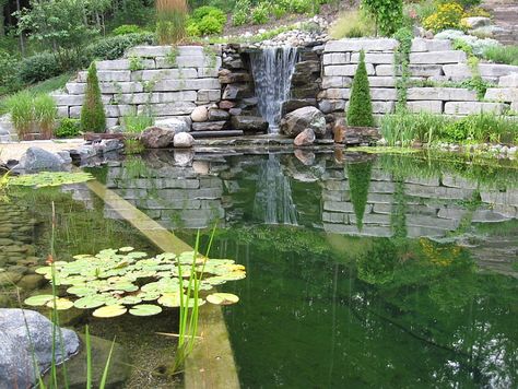 Amazing natural pool with waterfall that is fed by a hillside creek / THIS is going to be part of our inspiration for our natural backyard escape at the cabin... Even Brucey likes! *)♡♡♡ Pool Hillside, Pool Plants, Natural Swimming Ponds, Pool Shapes, Custom Swimming Pool, Swimming Pond, Natural Pond, Floating Plants, Natural Swimming Pools