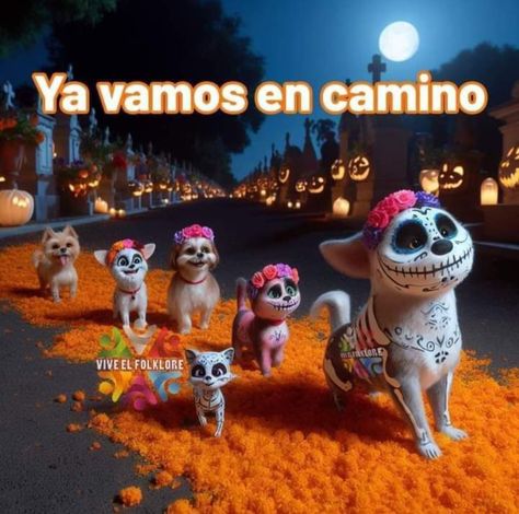 Dia De Los Muertos Decorations Ideas, 1 Y 2, Pet Day, Labrador Dog, October 27, Book Of Life, Dia De Muertos, Day Of The Dead, Dog Life