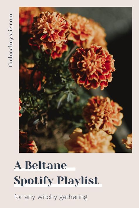 Our Beltane playlist for this month captures the blossoming glee of summer, perfect for Beltane energy! beltane playlist, beltane energy, how to celebrate beltane, beltane songs, beltane energy, beltane aesthetic, beltane vibes Beltane Aesthetic, Celebrate Beltane, Small Garden Design Ideas, Roof Ideas, Aesthetic Garden, Playlist On Spotify, Magical Life, Garden Design Ideas, Protection Crystals