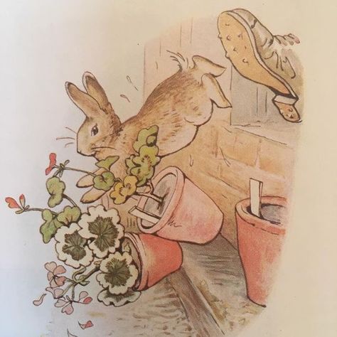 @nancymccabegardendesign • Instagram photos and videos Illusional Art, Beatrix Potter Illustrations, Beatrice Potter, Peter Rabbit Nursery, Peter Rabbit And Friends, Rabbit Nursery, Cottage Witch, Rabbit Run, Potter Art