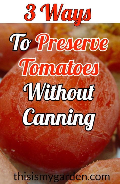 Tomato Preserving, Tomatoes Preserving, Tomato Preserves Recipe, Garden Tomato Recipes, Tomato Preserves, Freezing Cherry Tomatoes, How To Freeze Tomatoes, Preserve Tomatoes, Garden Canning