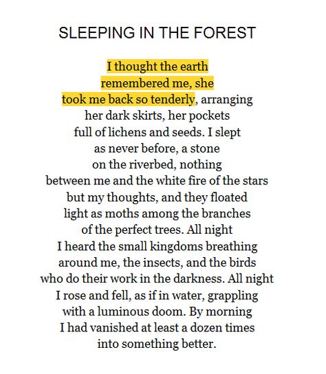 Cottage Core Poems, Chaotic Poetry, Cottage Core Quotes, Sleeping In The Forest, Mary Oliver, Poem Quotes, A Poem, In The Forest, Poetry Quotes