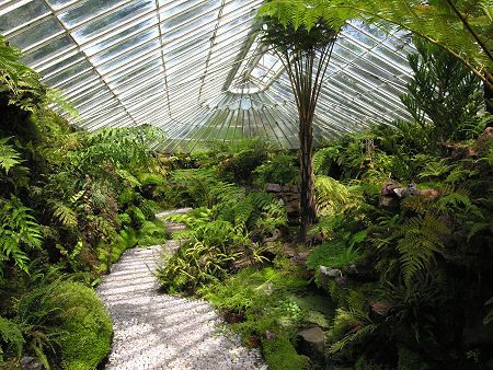 Longwood Gardens Conservatory, Glass Observatory Green Houses, Carnivorous Plant Bog Garden, Overgrown Greenhouse Aesthetic, Tropical Greenhouses, Hartley Botanic Greenhouse, Isle Of Bute, Bell Gardens, Conservatory Garden