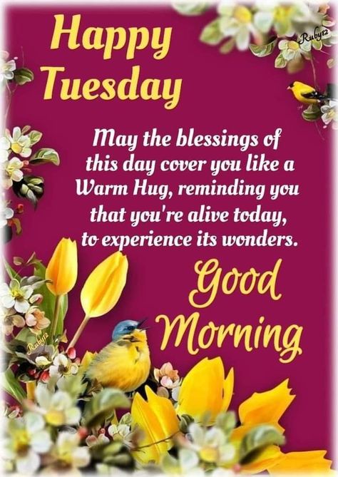 Tuesday Blessings Mornings, Good Morning Family Quotes, Tuesday Prayer, Good Morning Tuesday Wishes, Good Morning Saturday Wishes, Good Morning Meaningful Quotes, Happy Tuesday Images, Happy Tuesday Morning, Tuesday Quotes Good Morning