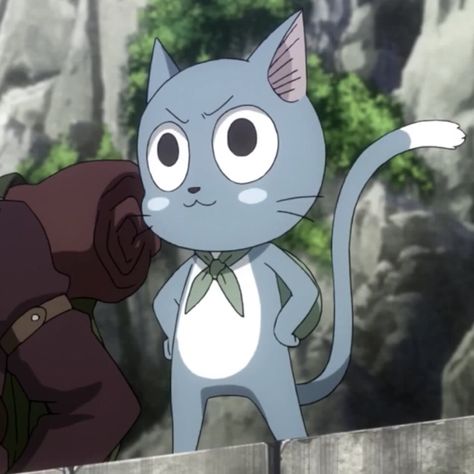 Fairy Tail Cat, Happy Fairy Tail, Anime Fairy, Fairy Tail Anime, Otaku Anime, Fairy Tail, Sonic The Hedgehog, Manga Anime, Minnie Mouse