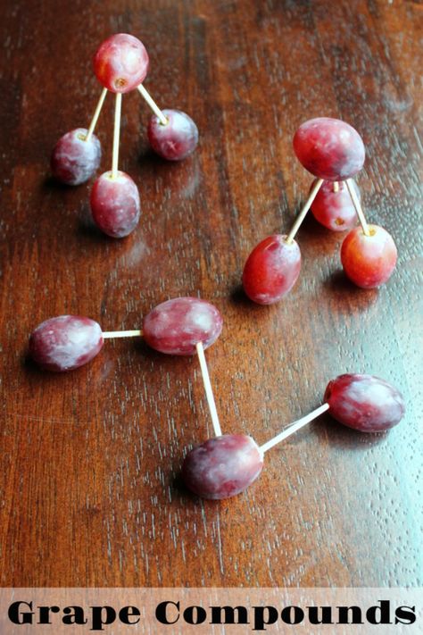 Grape compounds are a fun treat for a science themed party Science Experiment Birthday Cake, Chemistry Food Ideas, Health Science Graduation Party, Oppenheimer Themed Party, Chemistry Themed Food, Lessons In Chemistry Book Club Food Ideas, Science Themed Desserts, Biology Party Decorations, Brain Themed Party