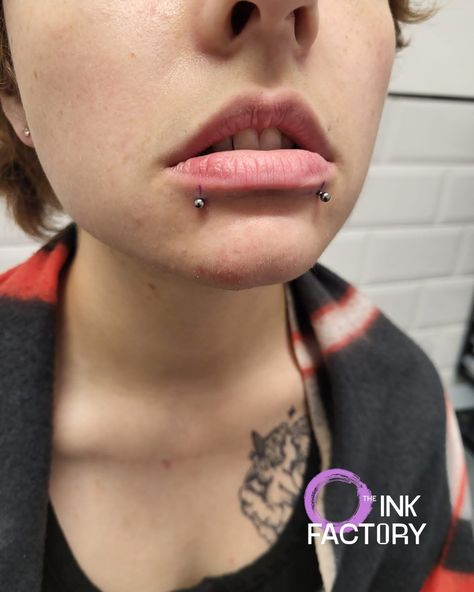 Double labret piercing done by @ashpiercer . This is your sign to book in for that piercing you have been thinking of! Do it! #TheInkFactory #DublinIreland #LabretPiercing #LipPiercing #Titanium #jewellery #SnakeBites #Piercer #IrishPiercer Snakebites, Labret Piercing, Lip Piercing, Dublin Ireland, Jewellery Display, Do It, Ash