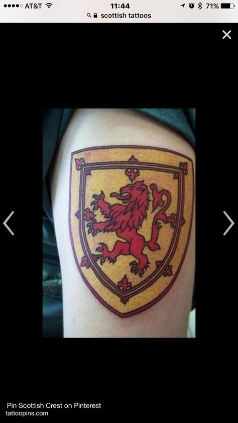 Bro Tattoos, Scottish Tattoo, Scottish Tattoos, Scottish Lion, Medieval Tattoo, Peacock Tattoo, Celtic Culture, Dagger Tattoo, Inked Men