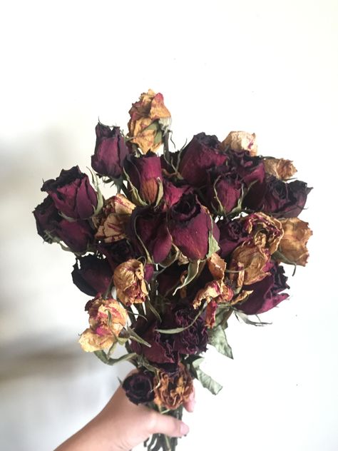 Wilted Bouquet, Corps Bride, Dead Roses, Flower Boquet, Flower Therapy, Corpse Bride, Flower Centerpieces, Rose Bouquet, Pretty Flowers