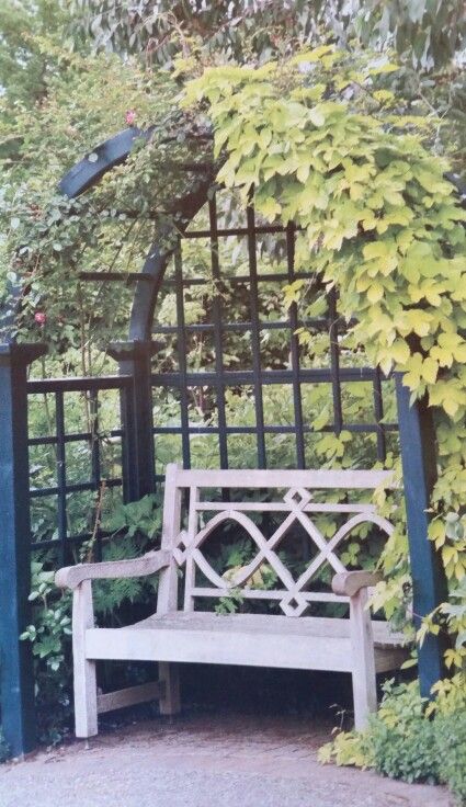 Lattice arbor with climbing vine and bench Stacked Stone Wall, Arbor Bench, Evergreen Vines, Garden Vines, Garden Benches, Garden Arches, Garden Arbor, Garden Shrubs, Pergola Patio