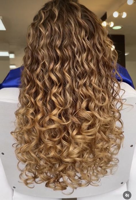 Dark Blonde With Strawberry Highlights, Honey Caramel Highlights On Curly Hair, Dark Blonde Curly Hair With Highlights, Blonde Curly Hair With Highlights, Carmel Blonde Curly Hair, Natural Brown Curly Hair, Curly Hair Balayage Blonde, Light Brown Curly Hair With Highlights, Dark Blonde Curly Hair