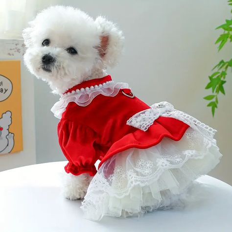 Summer Outfits Princess Dog Apparel Pet Dress - Temu Red Princess Dress, Yorkie Pomeranian, Dog Party Dress, Velvet Wedding Dress, Maltese Yorkie, Dog Breeds Medium, White Beaded Necklaces, Princess Dog, Red Velvet Dress