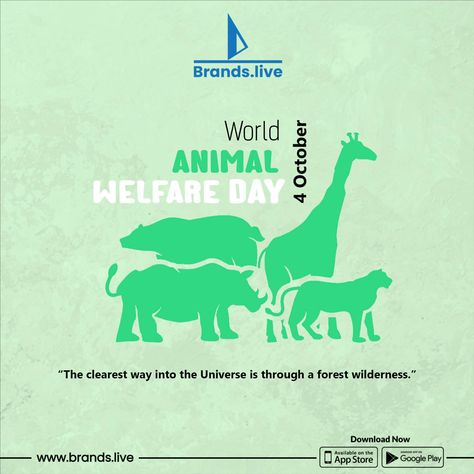 World Animal Day Poster, Animal Day Poster, World Animal Welfare Day, World Animal Day, Animal Day, Pet Day, Animal Welfare, Animals Of The World, Festival