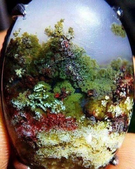 Beautiful moss agate from Indonesia | #Geology #GeologyPage #Agate #Mineral  Geology Page www.geologypage.com Black Pinterest, Rocks And Fossils, Plume Agate, Rock Minerals, Pretty Rocks, Summer Street, Beautiful Rocks, Spring Jewelry, Mineral Stone