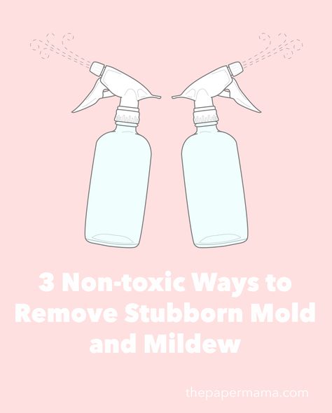 3 Non-toxic Ways to Remove Stubborn Mold and Mildew - The Paper Mama Natural Mold Remover Bathroom, How To Clean Mold Naturally, Homemade Mold And Mildew Remover, Mildew Remover For Fabric, Non Toxic Mold Remover, Remove Mold From Shower, Mildew Remover, Cleaning Mold, Mold Remover