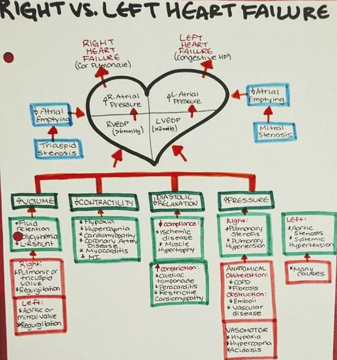 Right vs Left Heart failure Left Ventricular Failure, Nurses Notes, Pt School, Cardiogenic Shock, Np School, Tricuspid Valve, Medical Wallpaper, Med Surg, Nursing School Notes