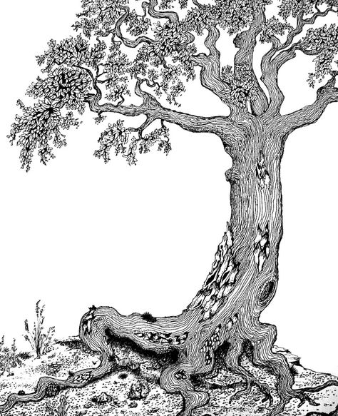 tree | A pen and ink drawing. A tree, alive. | Michael Warren | Flickr Drawing A Tree, Tree Drawing Simple, Black Pen Drawing, Micron Pen Art, Applique Wall Hanging, Tree Doodle, Tree Sketches, Pen Art Drawings, Drawing Journal