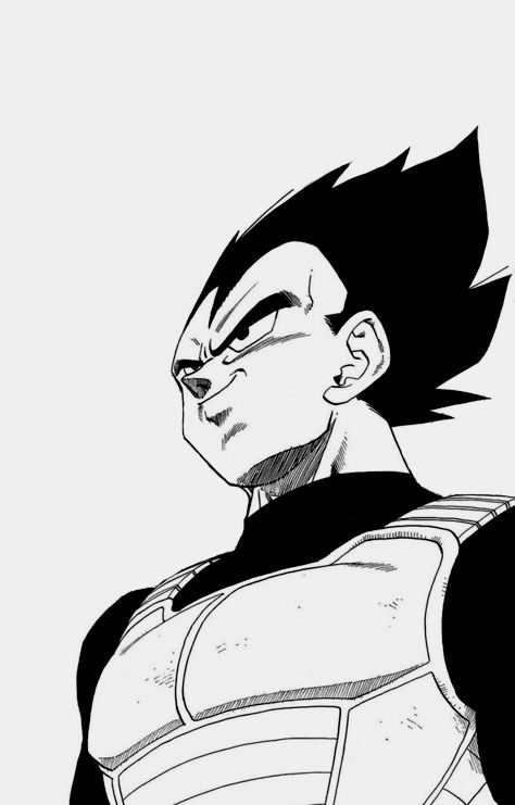 The Prince of all Saiyans Dbz Manga, Vegeta And Bulma, Comics Illustration, Dragonball Super, Dragon Ball Super Art, Dbz Art, Dragon Balls, Dragon Ball Super Manga, Dragon Ball Wallpapers