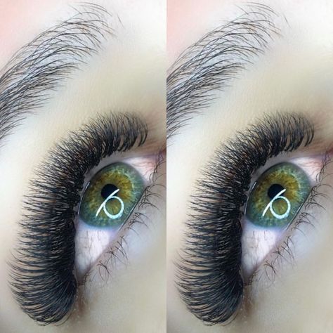 4d Lash Extensions, Professional Eyelash Extensions, Brow Artist, Salon Owners, Lash Extension, For Lash, Eyelash Extension, Lash Extensions, Eyelash Extensions