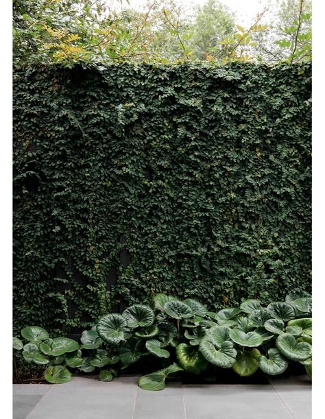 Gardening Wallpaper, Gardener Aesthetic, Wallpaper Garden, Tattoo Garden, Garden Nails, Garden Tattoo, Aesthetic Garden, Garden Aesthetic, Ideas Garden