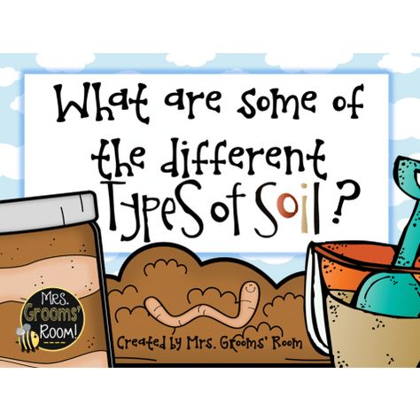 Types Of Soils, Soil Activities, Grade 3 Science, Dinner Crockpot, Second Grade Science, 1st Grade Science, First Grade Science, Third Grade Science, 4th Grade Science