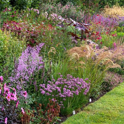 Boarder Plants, Cottage Garden Borders, Border Garden, Growing Dahlias, Garden Border, Herbaceous Border, Garden Inspo, Perennial Border, Cottage Garden Plants