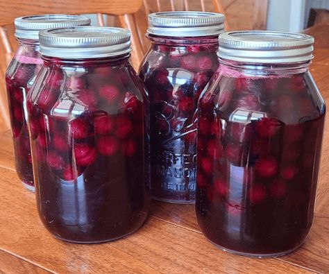 Canning Grape Juice with Concord Grapes - Hickory Hollow Farm Beef Canning Blueberry Juice, Saskatoon Berry, Canned Blueberries, Berry Sauce, Canned Cherries, Blueberry Juice, Cranberry Sauce Homemade, Home Canning, Canning Recipes