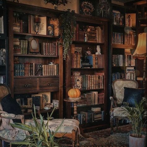 Home Library Aesthetic, Beautiful Home Library, Dark Academia Interior, Dark Academia Home, Cozy Home Library, Dream Library, Dark Academia Decor, Library Aesthetic, Dark Home Decor