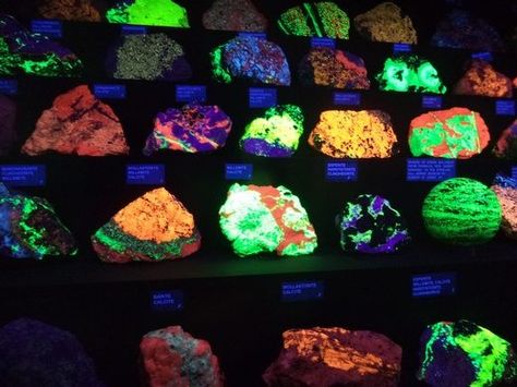 Fluorescent Rocks of Sterling Hill Mine – Ogdensburg, New Jersey - Atlas Obscura Warren Museum, Glow Rock, Minerals Museum, All The Small Things, Unusual Things, Rare Stone, Glow Sticks, Rock Collection, Minerals And Gemstones