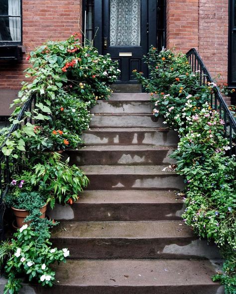 stella blackmon on Instagram: “stoop garland” Stella Blackmon, Stairs, On Instagram, Instagram, Home Decor, Home Décor