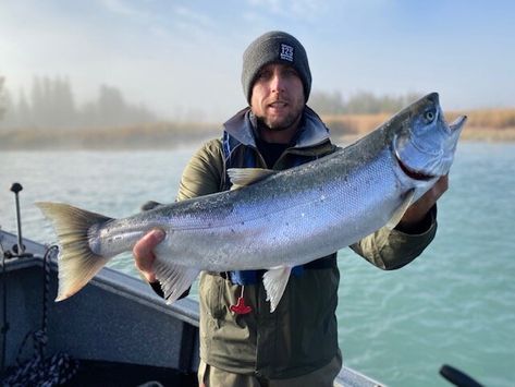 Kenai River Alaska Fishing, Kenai Alaska, Fishing In Canada, Pacific Salmon, Alaska Fishing, Ketchikan Alaska, Red Salmon, Alaska Vacation, King Salmon