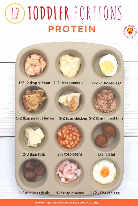 Toddler Portion Sizes – Ideas and Strategies to Ensure Your Toddler’s Diet is Balanced and Varied. — The Organic Cookery School Toddler Protein Ideas, Protein Ideas, Food Types, Calcium Rich Foods, Recipe Example, Portion Sizes, Foods To Avoid, Baked Eggs, Everything Changes