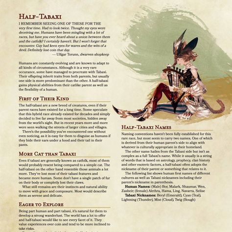 Half Tabaxi, Home Brewery, Dnd Races, Dnd Funny, My Eyes, Fantasy World, Dungeons And Dragons, First Time