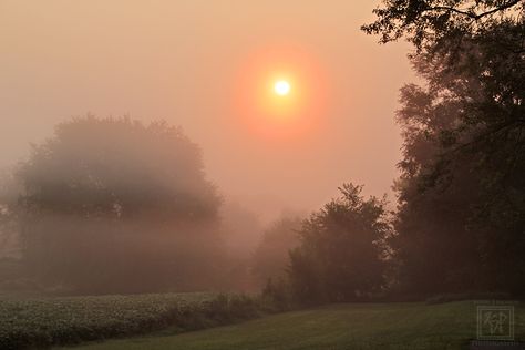 Foggy Sunrise Aesthetic, Morning Fog Aesthetic, Romanticise Winter, Foggy Morning Aesthetic, Crisp Autumn Morning, Forest Sunrise, Foggy Sunrise, Rural Photography, Aesthetic Country