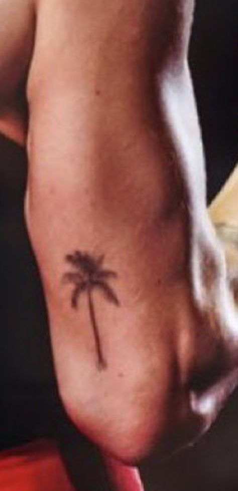 Harry Styles Palm Tree Tattoo, Palm Tattoos, Palm Tree Tattoo, King Of My Heart, Tree Tattoo, Tattoo Inspo, Maple Leaf Tattoo, Palm Tree, Palm Trees