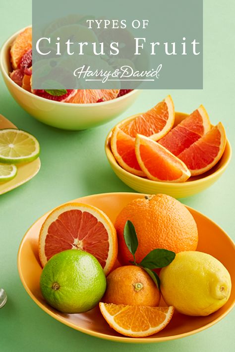 Love trying new types of citrus fruit? Find out what we think is the best citrus fruit. Have fun trying some different types of citruses. Harry & David, The Giving Tree, Ripe Fruit, Gold Nugget, Orange Zest, Delicious Fruit, Citrus Fruit, Fruit Recipes, Recipe Using