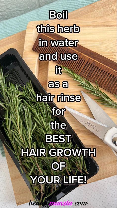 Rosemary Cinnamon Hair, Thyme Hair Growth, Sage Hair Rinse, Rosemary Shampoo Diy, Rosemary Water For Hair Growth Recipe, Rosmery Water For Hair, Rosemary Mint Hair Growth Spray, Rosemary Clove Water For Hair Growth, Diy Rosemary Water For Hair