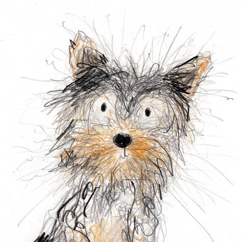 Catherine Rayner, Yorkie Painting, Different Types Of Dogs, Yorkie Terrier, Scribble Art, Dog Sketch, 강아지 그림, Art Drawings Sketches Pencil, Wow Art