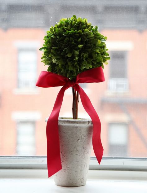 Christmas Topiary, Chic Christmas, Deco Floral, Noel Christmas, Merry Little Christmas, Holiday Inspiration, Christmas Stuff, Christmas Is Coming, Christmas Joy