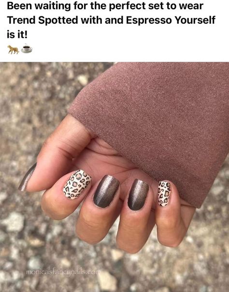 Cheetah Nail Designs, Cute Nail Colors, Animal Print Nails Art, Nail Color Combos, Cheetah Nails, Leopard Nails, Short Square Acrylic Nails, Animal Print Nails, Fall Nail Colors