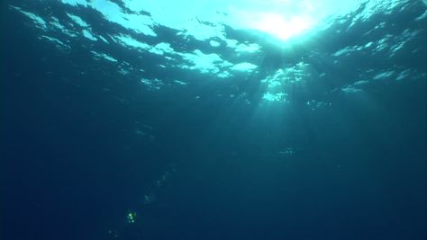 Underwater View Of Tropical Sea Looking Up At The Surface With Sun ... Underwater Looking Up, Underwater Bathroom, Worms Eye View, Tropical Sea, Dream Pools, Art References, Deep Sea, Video Clip, Under The Sea